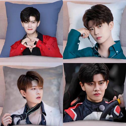 任嘉伦 白鹿应援diy定制个性同款亲肤绒双面周边抱枕靠垫生日礼物