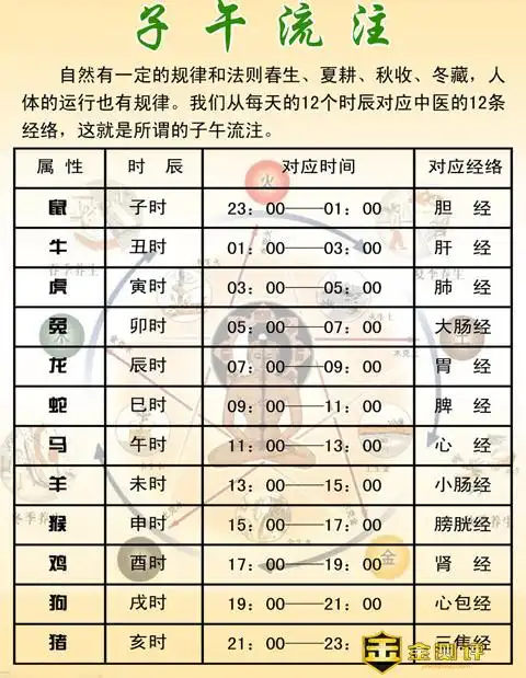 辰时是几点辰时出生五行属什么十二时辰时间表详细对应表