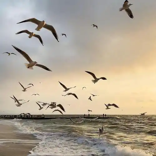 背景图 | 一眼就相中的宝藏微信背景图|文案|拾荒_网易订阅