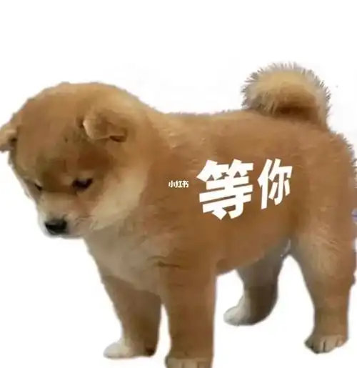 等人版修勾来了