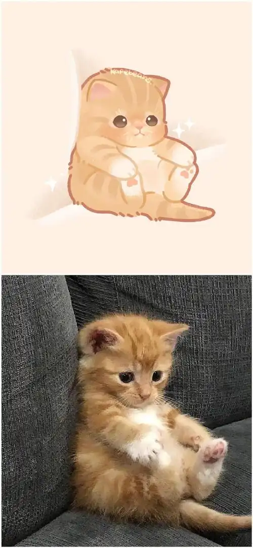 把小动物们的表情包画成漫画!救命,萌翻了.马住!#漫画##二次元