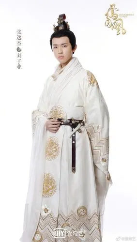 电视剧凤囚凰# 你们能接受王意之是个女的演的吗.女的演的.王意 ..