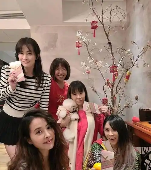 蔡健雅为心爱的猫咪庆生,两种文字表达爱意,真正的撸猫达人_约翰马丁