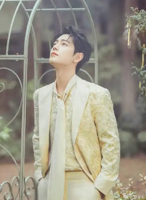 肖战微博之夜#童话里走出来的小王子!这一身也挺90礼服感的!