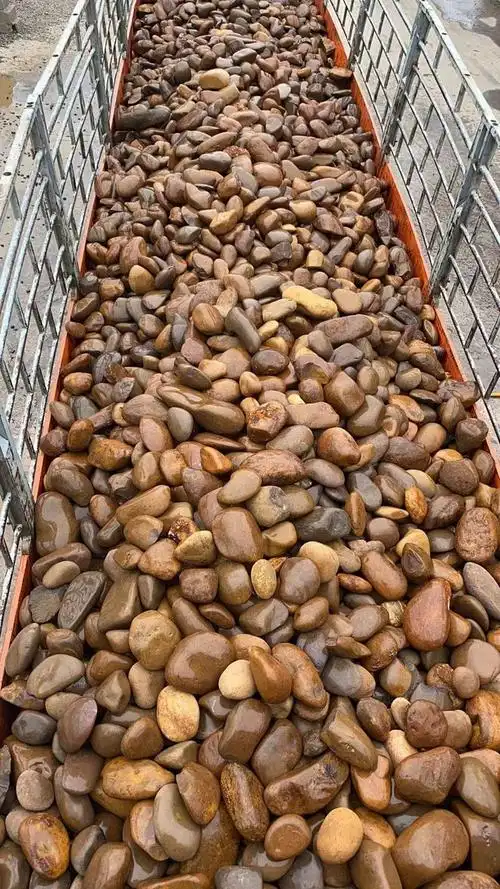 鹅卵石增加空间变化,广东各种不同的鹅卵石种类|花坛|造景_网易订阅