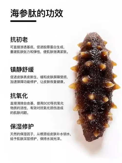 抗老现在流行的海参肽成分你到底知道多少