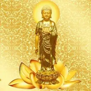 阿弥陀佛 阿弥陀佛 阿弥陀佛头像