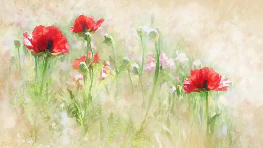 创意花卉水彩画高清电脑桌面壁纸图片高清大图预览1920x1080_设计创意