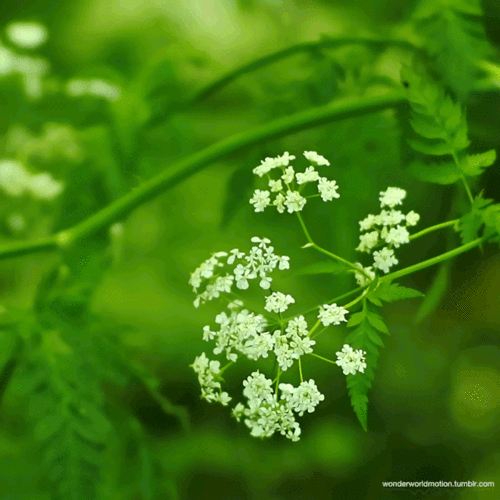 640_640gif 动态图 动图