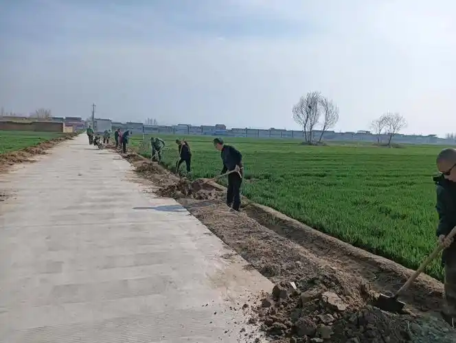 获嘉县亢村镇:织密农田林网 添绿美丽乡村-大象网