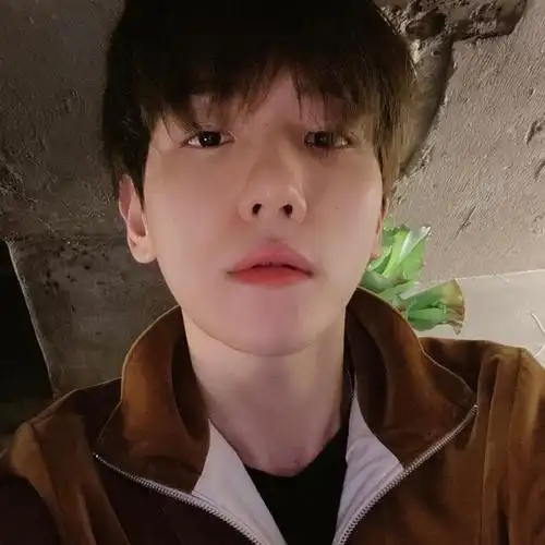 高冷大明星切换邻家小男孩,伯贤bubble换新头像和背景了!