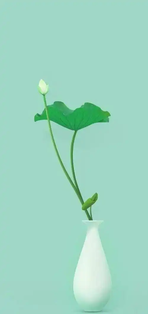 养眼全屏壁纸治愈系列天天好心情