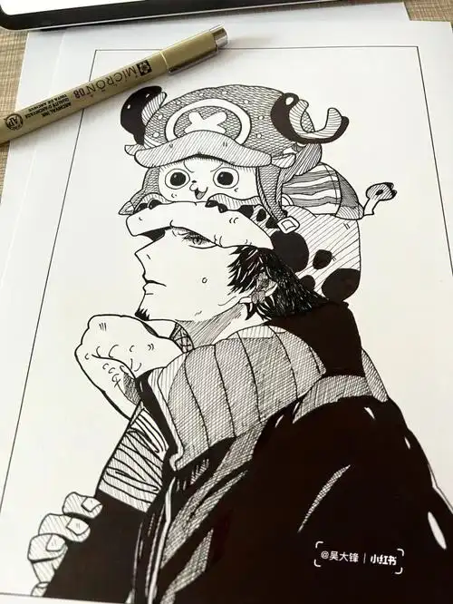 海贼王当萌宠乔巴遇上高冷酷帅罗附教程