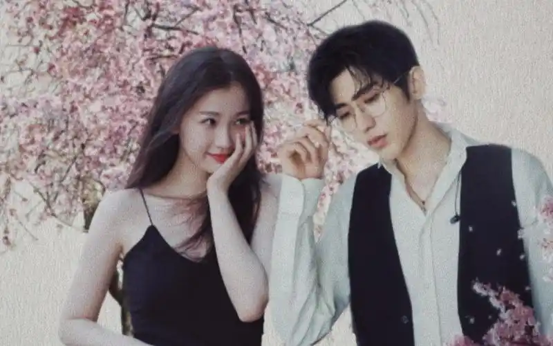 【菜心】【蔡徐坤】【虞书欣】自从遇见你