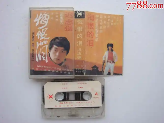 迟志强悔恨的泪长白山音像