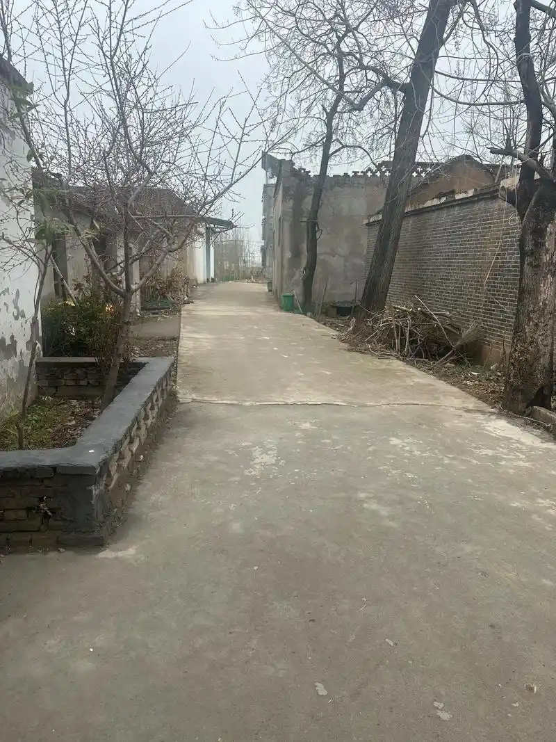 #小巷子里的旧时光 #从小长大的地方 #农村生活