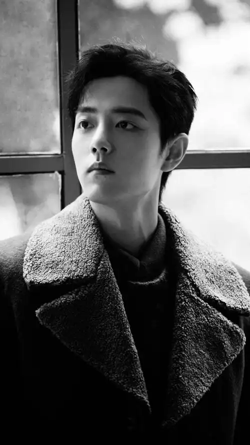 肖战秋意浓暖男魅力温柔大气精选图片_布阁拉