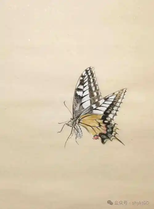 如果你不会画蝴蝶,那今天你有福了!