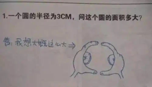 我想大概这么大