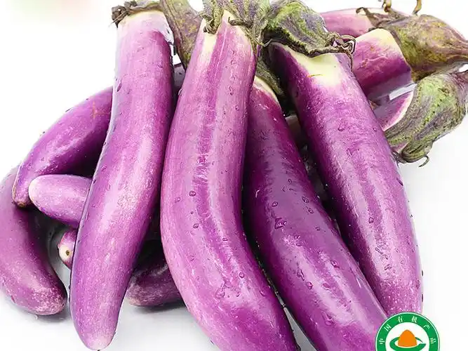 首页 产品展示 常州新品溧阳有机农副产品茄子供应——溧阳有机农副产