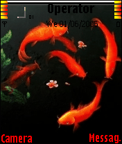 吾主题手机主题: 鲤鱼