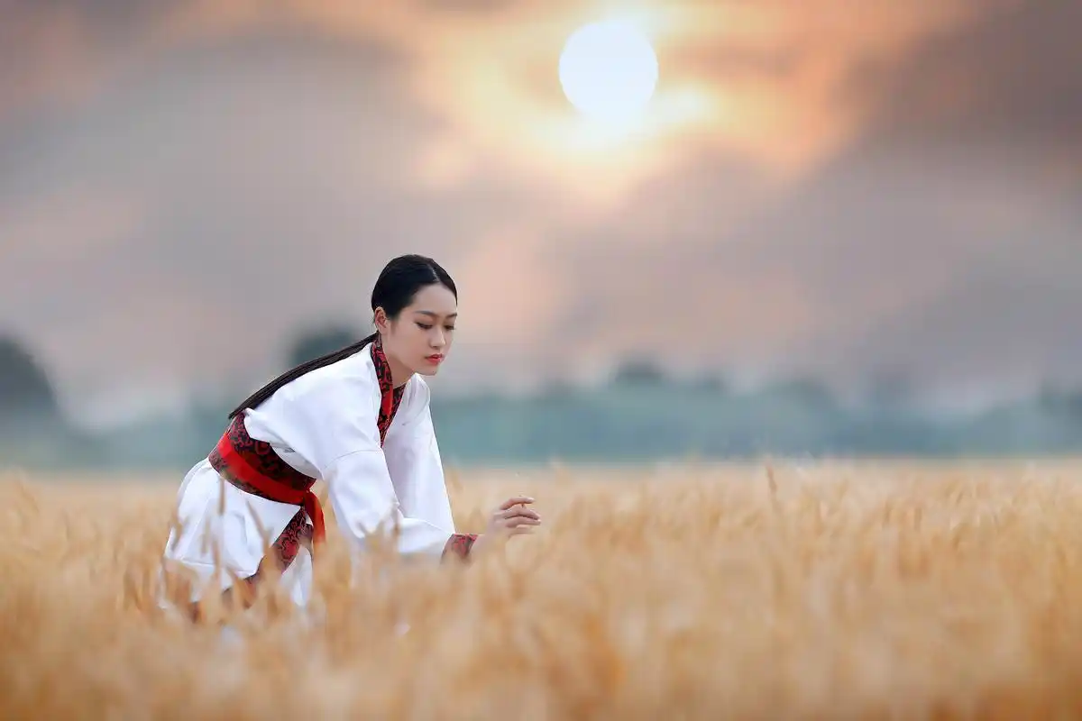 麦田唯美气质古装美女桌面壁纸