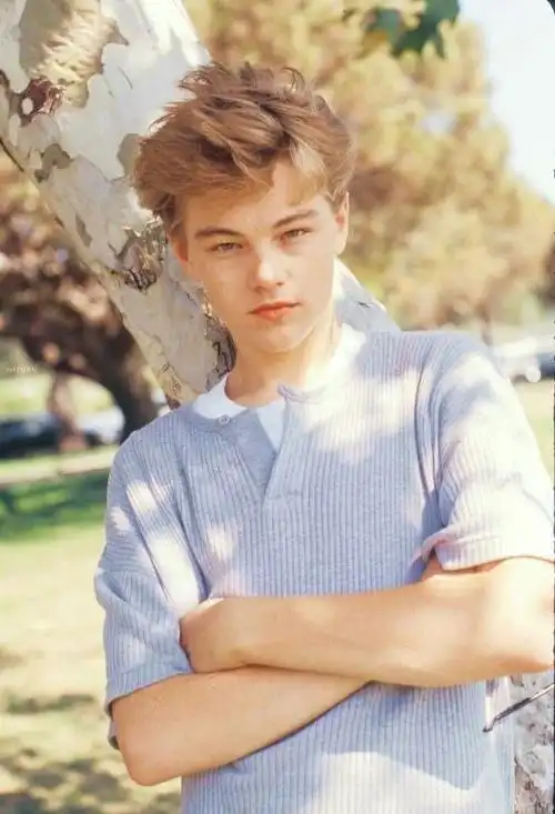 小李子颜值巅峰图片「干货」 -骁龙网