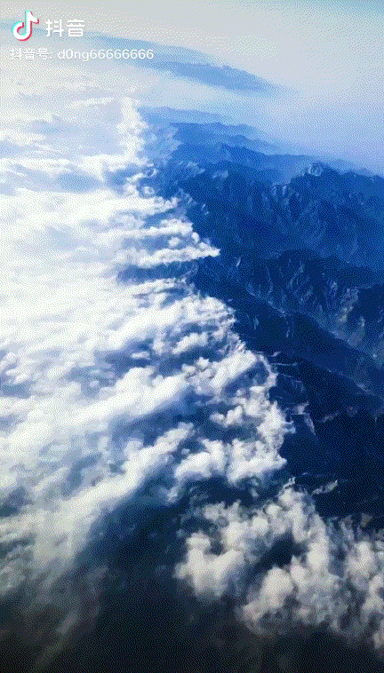 冲上热搜广东人穿短袖的原因找到了结局反转