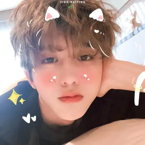 "有点喜欢跑男的蔡小葵了" 蔡徐坤头像|顾雨曦 贴纸扯扯裙边