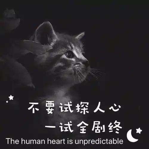 抖音背景图今天最火背景图