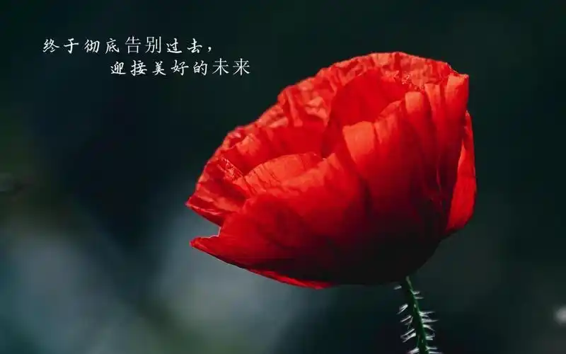 再见过去,你好未来