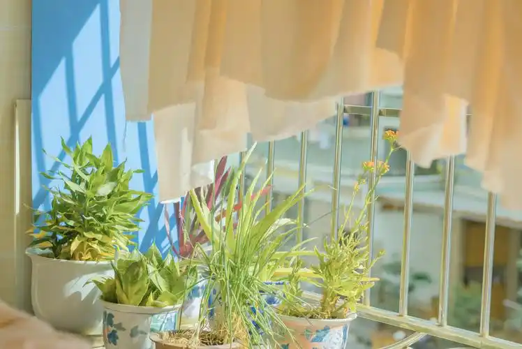 文艺清新迷人生活随景,图库-回车桌面