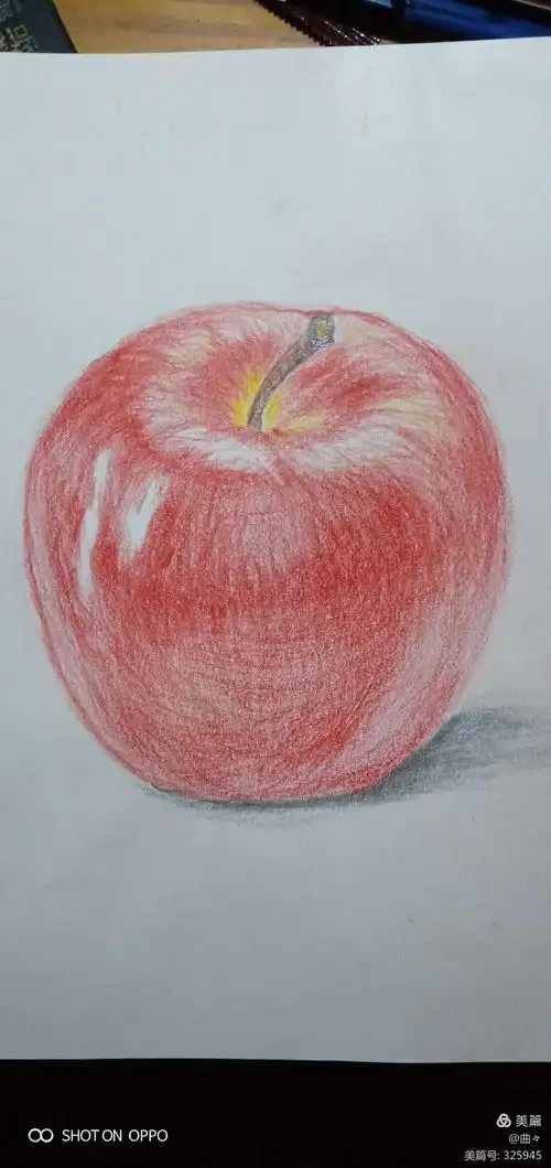 彩铅画初级班画画