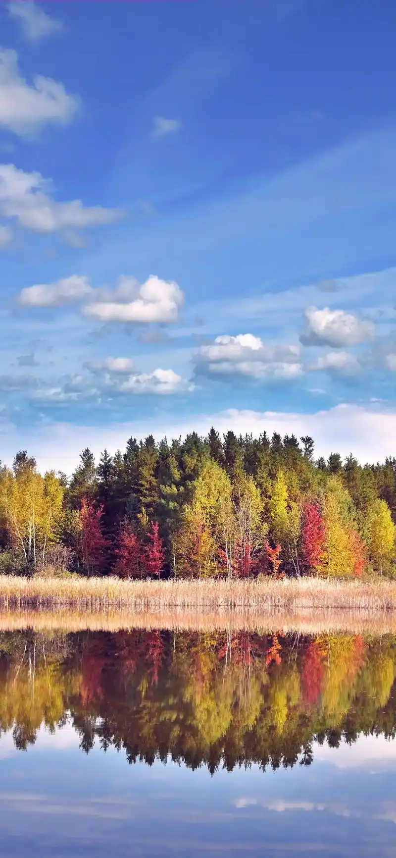 "自然风景"系列.#高清壁纸4k全屏60帧 #iphone1 - 抖音