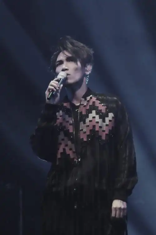 杨宗纬声声声声巡演,《但是又何奈》的原色重现