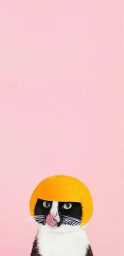 2020抖音最火手机壁纸,抖音最火2020背景图片