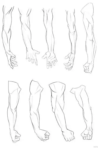 写生手臂—人体体块手臂肌肉的练习