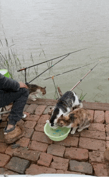 "我现在就脱掉!"现场偶遇网红后…杨幂回怼:撞衫不可怕,谁丑谁尴尬!_v