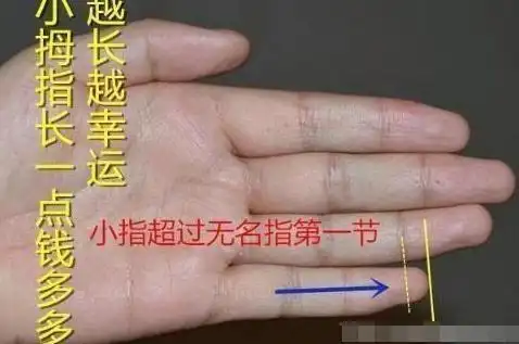 手有金星带事业财运皆不愁,掌纹三主线若阻断,感情婚姻必遭殃