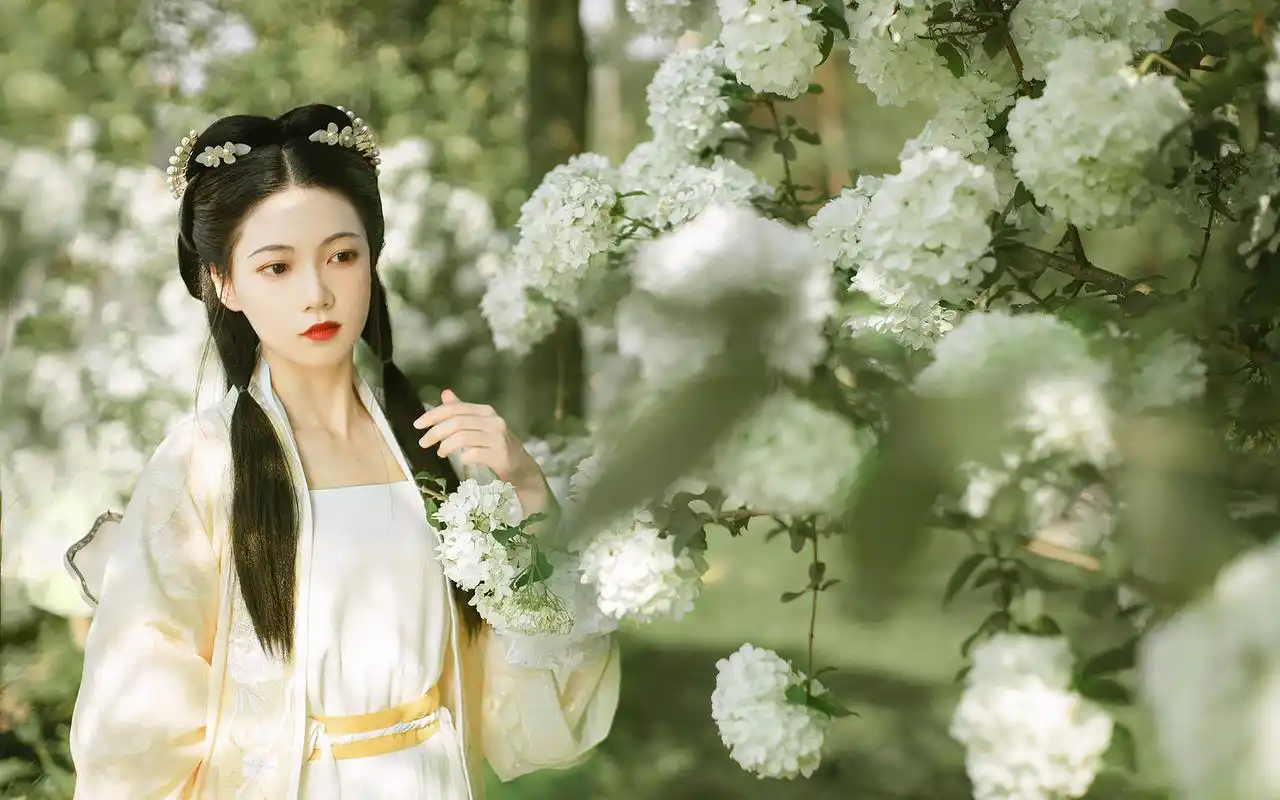 首页 桌面壁纸 美女壁纸 古风美女花间唯美高清桌面壁纸(2/ 5) 2020