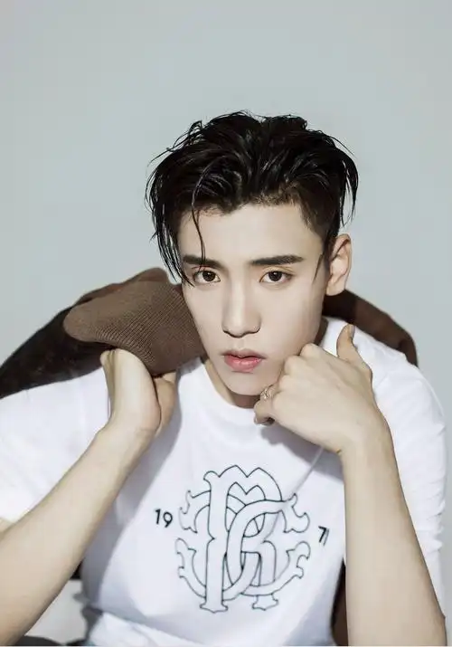 王子异 boogie wang