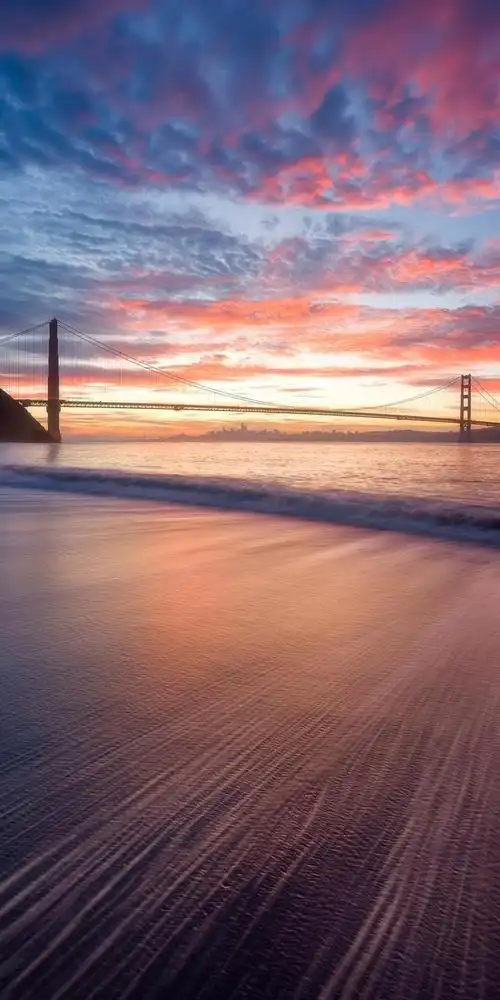 手机壁纸《第四十六期》高清无水印