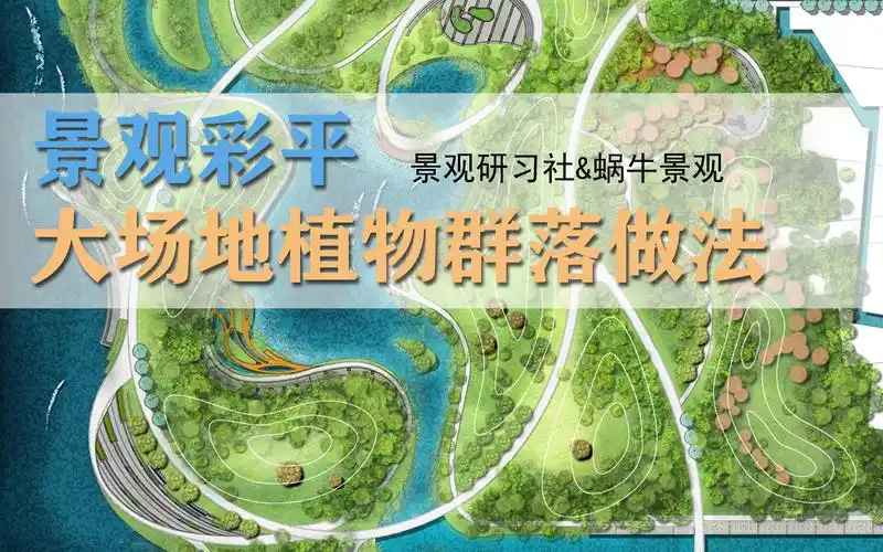 景观设计彩平-大场地植物表现案例