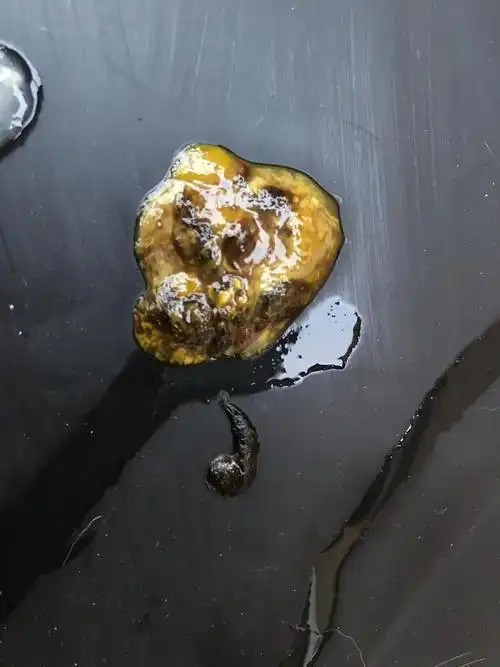 一整天没精神(反胃恶心想吐没精神什么原因)