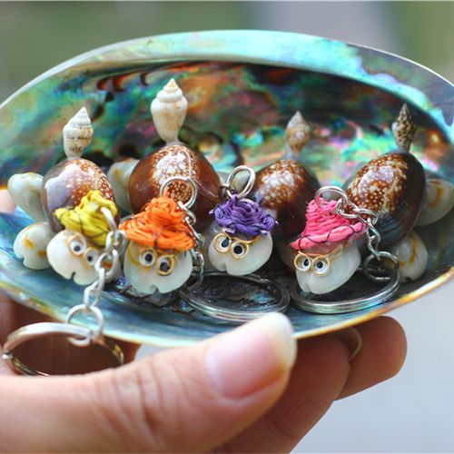 热卖天然海螺贝壳工艺品饰品手工小乌龟博士草帽海螺
