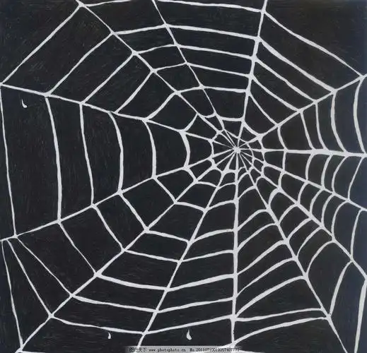 生活数学 (一)线的认识(二)三角形的认识 -- 停课不停学 清徐特教在