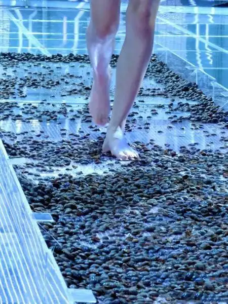 花容惨失色 美女模特比赛走"活虫"t台被吓哭