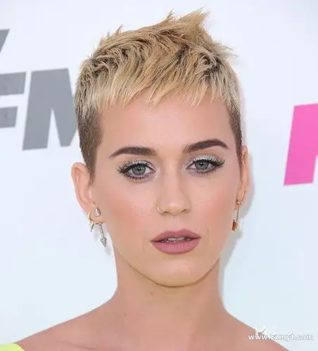 首页 69 [发型师网络顾问] 69 =发型图库欣赏= 69 个性寸头短发