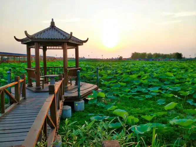 商水县乡村旅游-商水县乡村旅游渡假-村村美