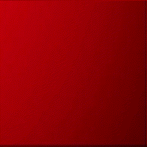 300_300gif 动态图 动图